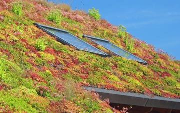 Helperthorpe living roof systems