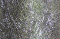 Helperthorpe fibreglass roof work